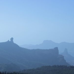 IMG_1956